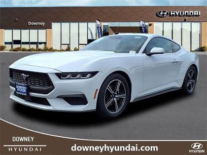 Used 2024 Ford Mustang Premium