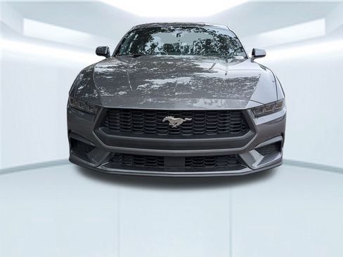 New 2025 Ford Mustang EcoBoost image 14