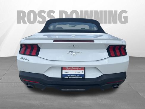 Used 2025 Ford Mustang Premium image 5