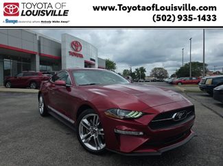 Used 2019 Ford Mustang Premium w/ Equipment Group 201A RWD video 1