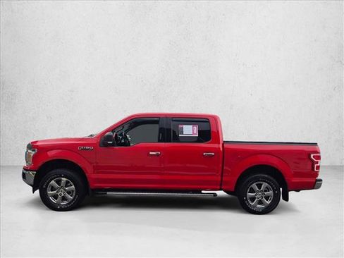 Used 2019 Ford F150 XLT w/ Equipment Group 302A Luxury image 8