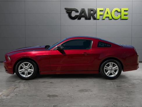 Used 2014 Ford Mustang Coupe w/ Equipment Group 102A RWD image 6