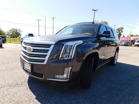 Used 2016 Cadillac Escalade Platinum AWD/4WD image 3