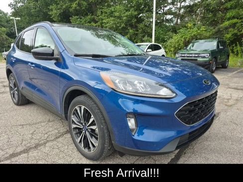 Used 2022 Ford Escape SEL w/ SEL Stealth AWD Package image 7