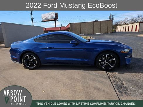 Used 2022 Ford Mustang Coupe w/ Equipment Group 101A image 13