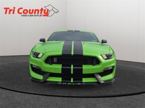 Used 2016 Ford Mustang Shelby GT350 image 2