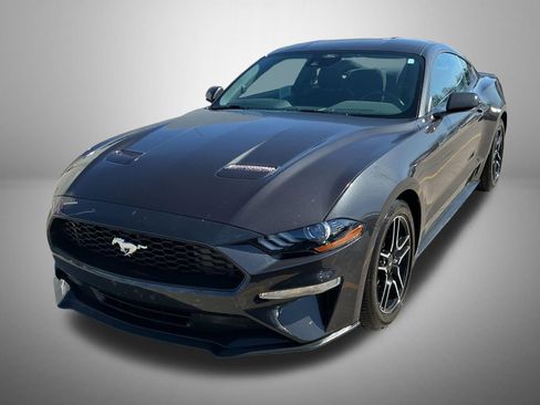 Used 2023 Ford Mustang Coupe w/ Equipment Group 101A image 1