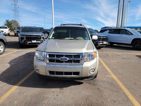 Used 2010 Ford Escape Limited image 2