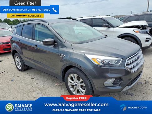Used 2019 Ford Escape SEL AWD/4WD image 5