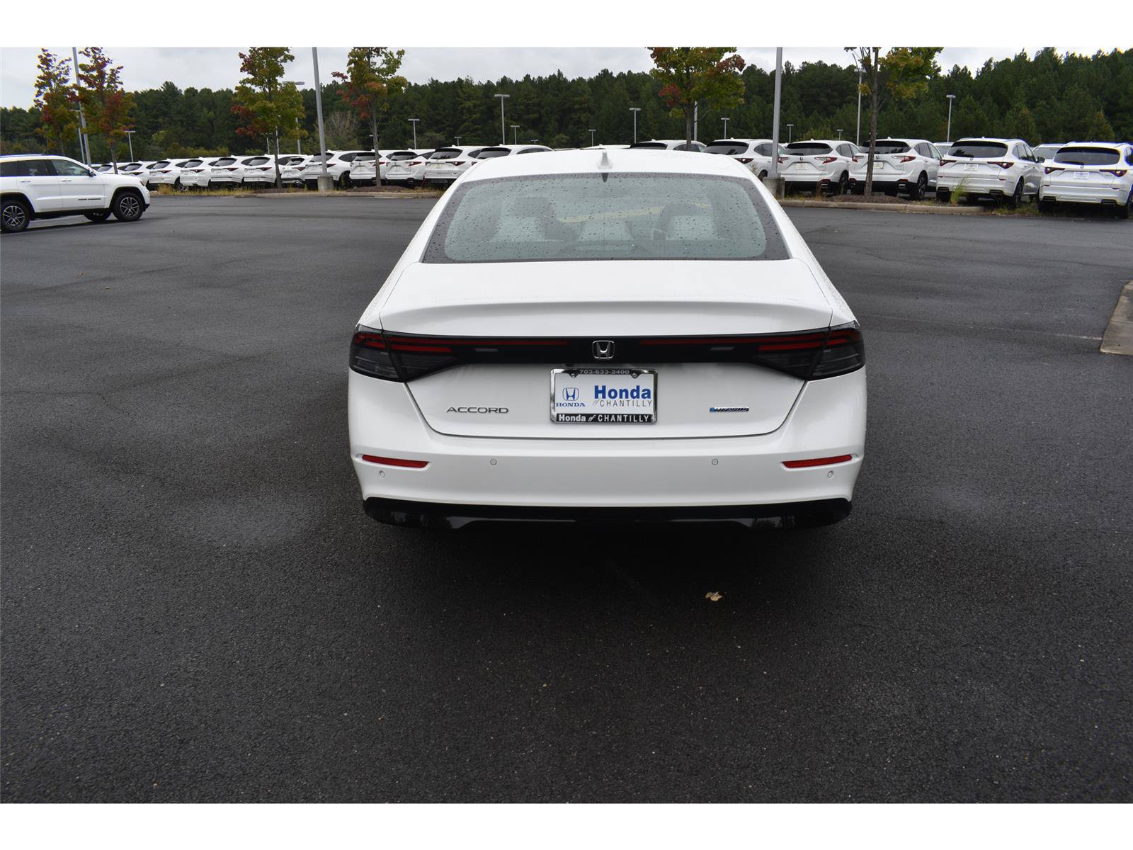 New 2026 Honda Accord Hybrid EX-L image 6