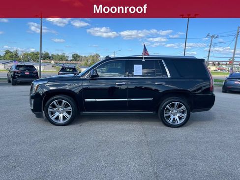 Used 2015 Cadillac Escalade Premium AWD/4WD image 2
