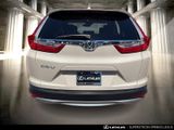 Used 2019 Honda CR-V EX-L image 5