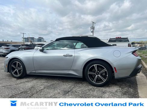 Used 2025 Ford Mustang Premium RWD image 5