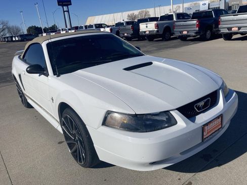 Used 2002 Ford Mustang Deluxe image 4