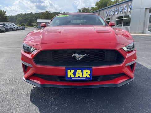 Used 2023 Ford Mustang Premium w/ Equipment Group 201A RWD image 4