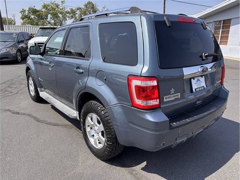 Used 2010 Ford Escape Limited AWD/4WD image 3