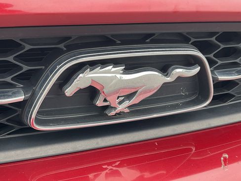 Used 2014 Ford Mustang Premium w/ Equipment Group 202A RWD image 6