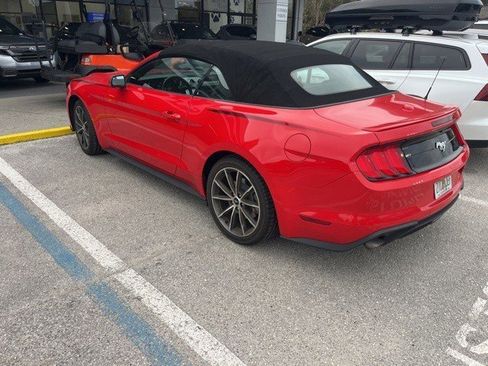 Used 2019 Ford Mustang Premium w/ Equipment Group 201A image 4