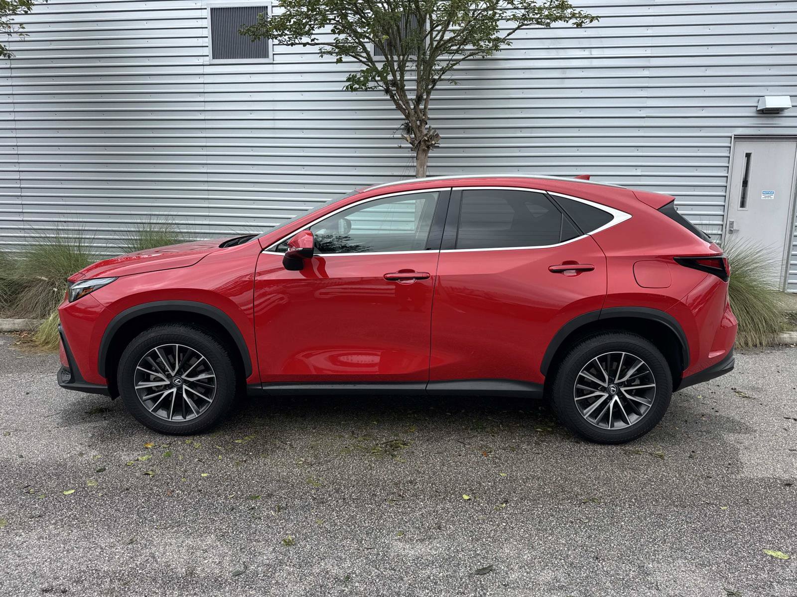 Used 2024 Lexus NX 250 FWD image 2
