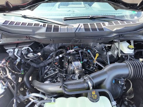 New 2025 Ford F150 XL w/ Equipment Group 103A High image 23