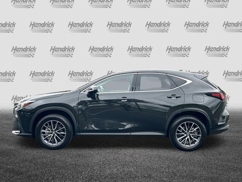 Certified 2025 Lexus NX 350h AWD w/ Cold Area Package image 8