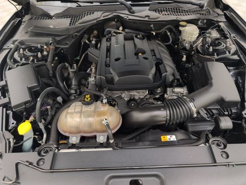Used 2017 Ford Mustang Coupe RWD image 37