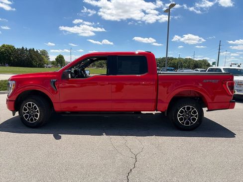 Used 2023 Ford F150 XLT w/ Equipment Group 302A High AWD/4WD image 4