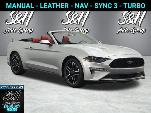 Used 2019 Ford Mustang Premium w/ Equipment Group 201A RWD image 1