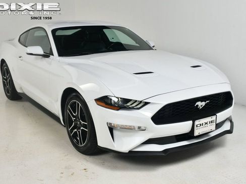Used 2019 Ford Mustang Premium w/ Equipment Group 201A image 1