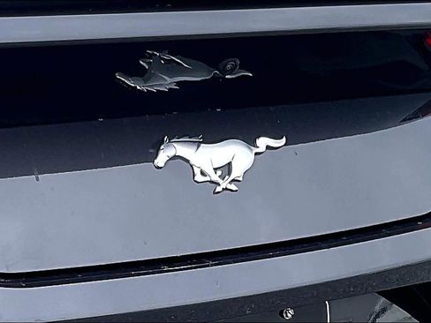 Used 2024 Ford Mustang Premium image 9