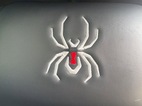 Used 2025 Ford F250 Platinum image 60