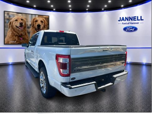 Used 2023 Ford F150 Limited AWD/4WD image 8