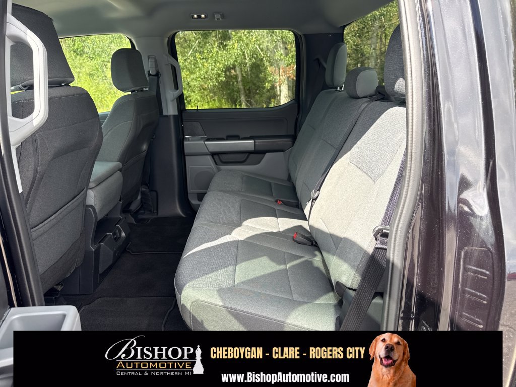 Used 2025 Ford F150 XLT w/ Equipment Group 301A Standard AWD/4WD image 15