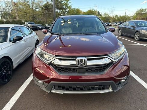 Used 2019 Honda CR-V EX-L image 5