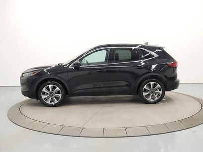 Used 2025 Ford Escape Platinum