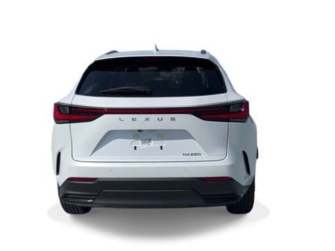 Used 2024 Lexus NX 250 250 Premium image 7