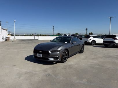 Used 2025 Ford Mustang Coupe