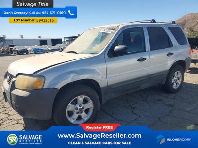 Used 2005 Ford Escape XLT