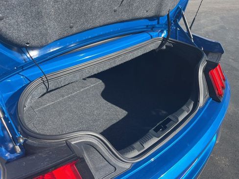 Used 2019 Ford Mustang Premium w/ Equipment Group 201A image 14