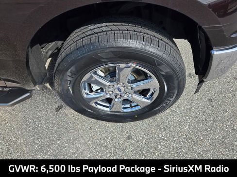 Used 2019 Ford F150 XLT w/ Equipment Group 302A Luxury AWD/4WD image 11