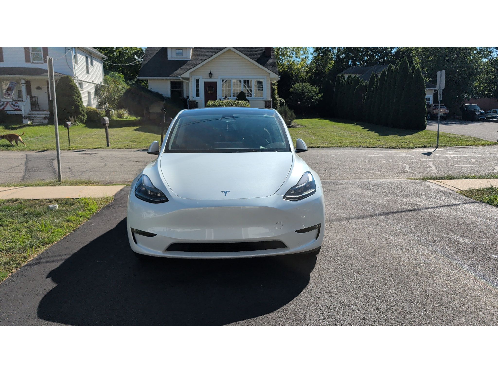 Used 2023 Tesla Model Y Long Range AWD/4WD image 2