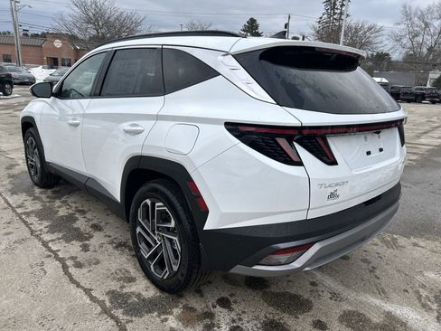 New 2026 Hyundai Tucson Limited image 5