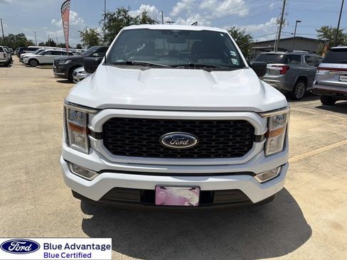 Used 2022 Ford F150 XL w/ STX Appearance Package RWD image 4