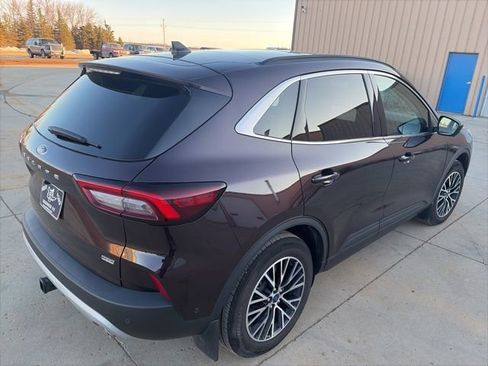 Used 2023 Ford Escape SE w/ PHEV Premium Package image 6