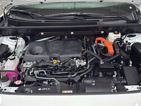 Certified 2025 Toyota RAV4 LE image 25