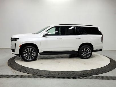 Used 2021 Cadillac Escalade Sport Platinum