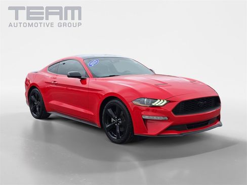 Used 2023 Ford Mustang Coupe w/ Equipment Group 101A image 1