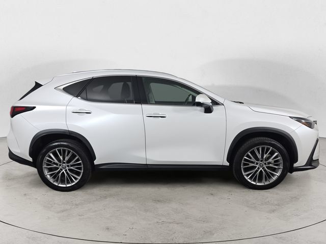 Certified 2024 Lexus NX 350h AWD w/ Vision Package image 4
