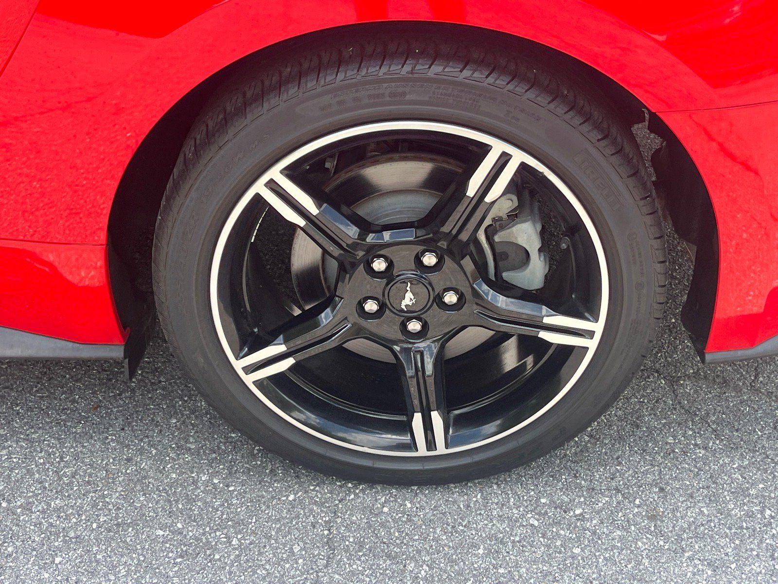 Used 2019 Ford Mustang GT Premium w/ California Special Package RWD image 21