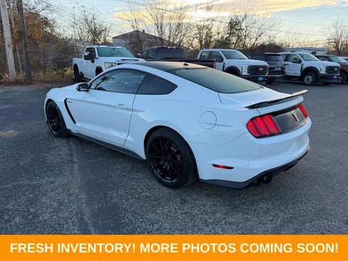 Used 2017 Ford Mustang Shelby GT350 w/ Electronics Package image 4